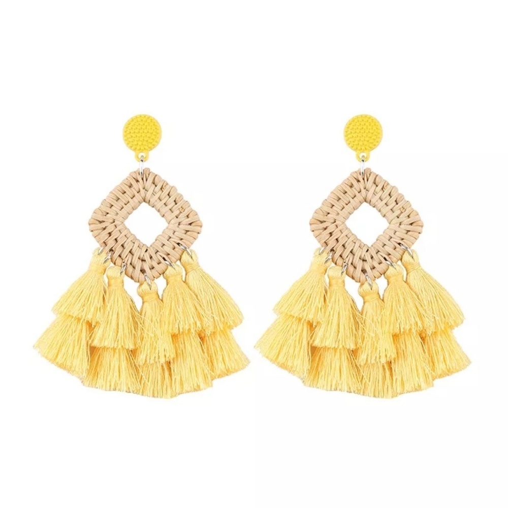 New Wooden Rattan Geometric Tassel Earrings - Picture 6 of 8